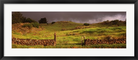 Framed Stone wall in a field, Kula, Maui, Hawaii, USA Print