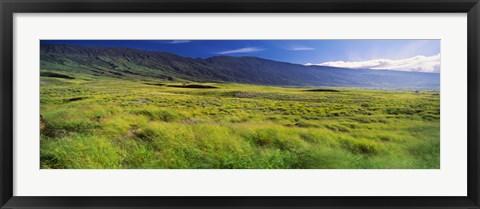 Framed Grassland, Kula, Maui, Hawaii, USA Print