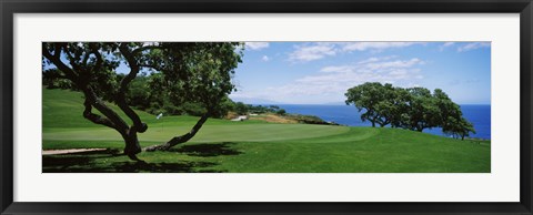 Framed Trees on a golf course, The Manele Golf course, Lanai City, Hawaii, USA Print