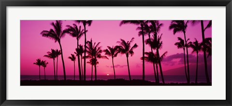 Framed Silhouette of palm trees at dusk, Hawaii, USA Print