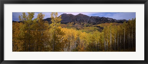 Framed Trees in autumn, Colorado Print