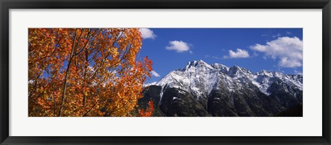 Framed Autumn Trees and snowcapped mountains, Colorado Print