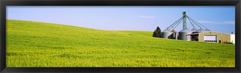 Framed Wheat field with silos in the background, Palouse County, Washington State Print