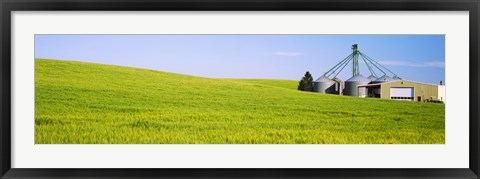 Framed Wheat field with silos in the background, Palouse County, Washington State Print