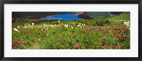 Framed Beargrass with Grinnell Lake in the background, Montana Print