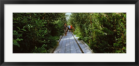 Framed People walking on walkway in an elevated park, High Line, New York City, New York State, USA Print