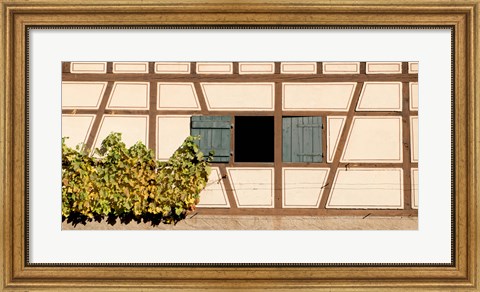 Framed Detail of half timber house and grape vines, Strumpfelbach, Baden-Wurttemberg, Germany Print