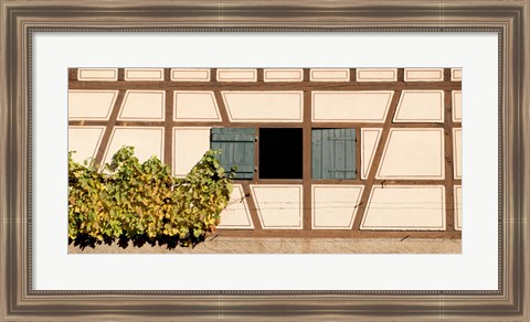 Framed Detail of half timber house and grape vines, Strumpfelbach, Baden-Wurttemberg, Germany Print