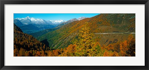 Framed Trees with road in autumn at Simplon Pass, Valais Canton, Switzerland Print