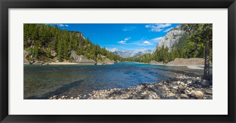 Framed River passing through a forest, Bow River, Banff National Park, Alberta, Canada Print