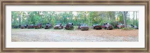 Framed Old rusty cars and trucks in a field, Crawfordville, Wakulla County, Florida, USA Print