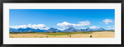 Framed Hay bales in a field with Canadian Rockies in the background, Alberta, Canada Print