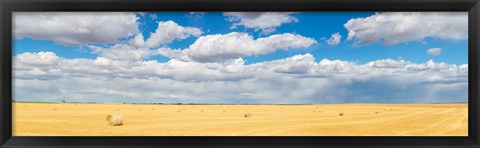 Framed Hay bales in a field, Alberta, Canada Print