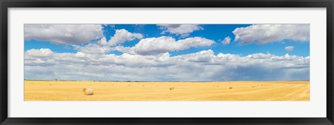 Framed Hay bales in a field, Alberta, Canada Print