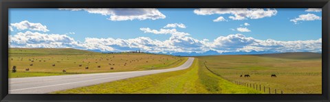 Framed Road passing through a field, Alberta, Canada Print