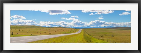 Framed Road passing through a field, Alberta, Canada Print