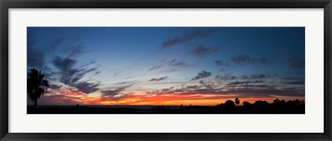 Framed Silhouette of trees at sunset, Todos Santos, Baja California, Mexico Print