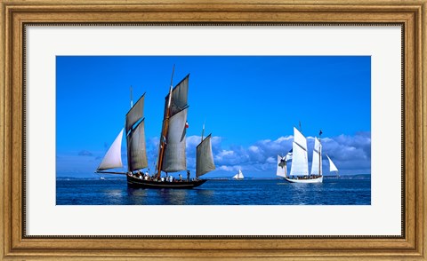 Framed Tall ship regatta featuring Cancalaise and Granvillaise, Baie De Douarnenez, Finistere, Brittany, France Print