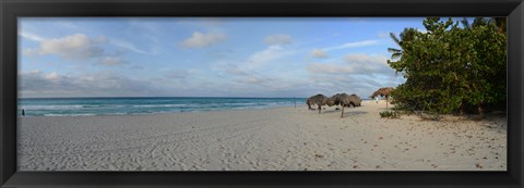 Framed Sunshades on the beach, Varadero, Matanzas Province, Cuba Print