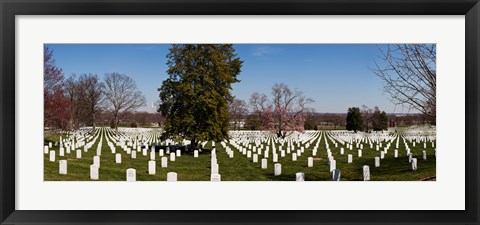 Framed Headstones in a cemetery, Arlington National Cemetery, Arlington, Virginia, USA Print