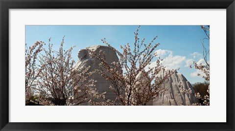 Framed Cherry trees in front of a memorial, Martin Luther King Jr. National Memorial, Washington DC, USA Print