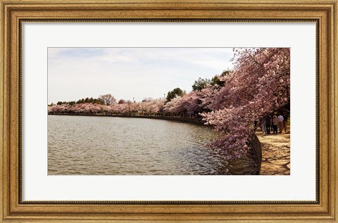 Framed Tidal Basin, Washington DC Print