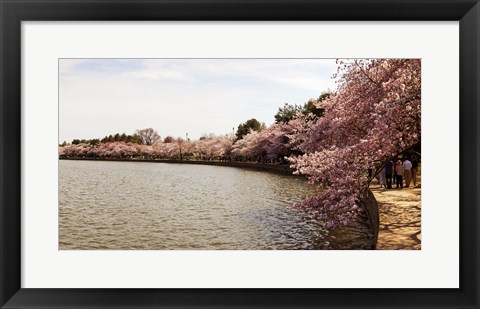 Framed Tidal Basin, Washington DC Print