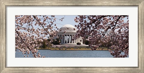 Framed Cherry Blossom trees in the Tidal Basin with the Jefferson Memorial in the background, Washington DC Print