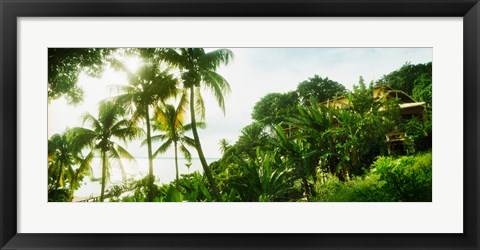 Framed Palm trees covering a small bungalow in Morro De Sao Paulo, Tinhare, Cairu, Bahia, Brazil Print