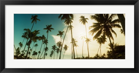 Framed Palm trees along the beach in Morro De Sao Paulo, Tinhare, Cairu, Bahia, Brazil Print