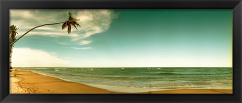 Framed Single leaning palm tree on the beach, Morro De Sao Paulo, Tinhare, Cairu, Bahia, Brazil Print