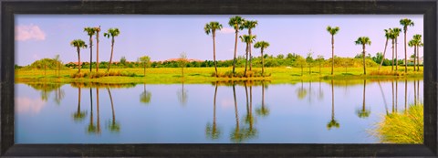 Framed Reflection of trees on water, Lake Worth, Palm Beach County, Florida, USA Print