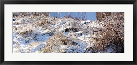 Framed Snow covered hill, Saint-Blaise-sur-Richelieu, Quebec, Canada Print