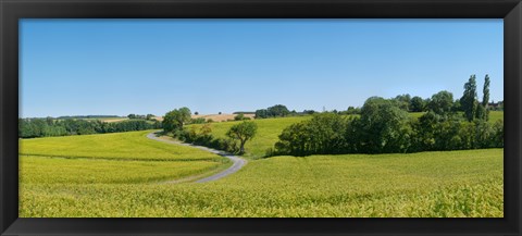 Framed Dirt road passing through a flax field, Loire-et-Cher, Loire Valley, France Print