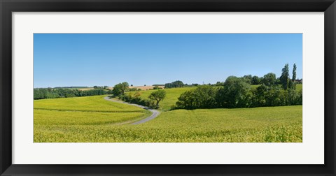 Framed Dirt road passing through a flax field, Loire-et-Cher, Loire Valley, France Print