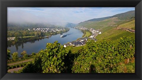 Framed Vineyards with village at riverfront, Mosel River, Kaimt Mosel Village, Mosel Valley, Rhineland-Palatinate, Germany Print