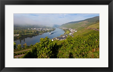 Framed Vineyards with village at riverfront, Mosel River, Kaimt Mosel Village, Mosel Valley, Rhineland-Palatinate, Germany Print