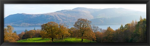 Framed Autumn trees with mountains in background, Derwent Water, Lake District National Park, Cumbria, England Print