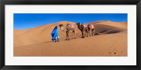 Framed Tuareg man leading camel train in desert, Erg Chebbi Dunes, Sahara Desert, Morocco Print