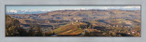 Framed High angle view of vineyards and castle, Grinzane Cavour, Langhe, Cuneo Province, Piedmont, Italy Print