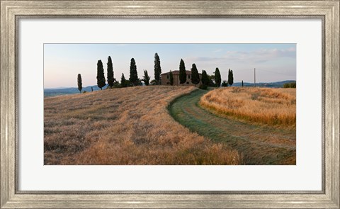 Framed Road leading towards a farmhouse, Val d&#39;Orcia, Tuscany, Italy Print