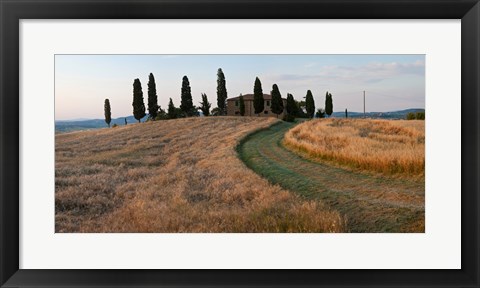 Framed Road leading towards a farmhouse, Val d&#39;Orcia, Tuscany, Italy Print