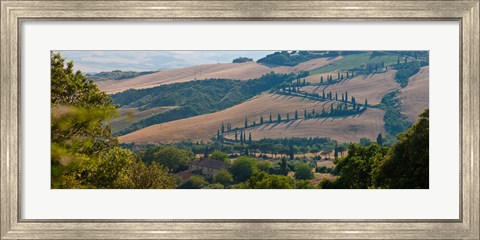 Framed High angle view of winding road in valley, Tuscany, Italy Print