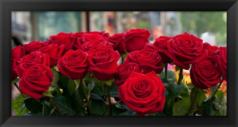 Framed Close-up of red roses in a bouquet during Sant Jordi Festival, Barcelona, Catalonia, Spain Print