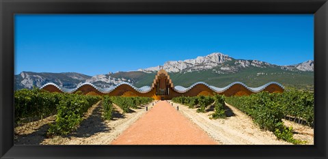 Framed Bodegas Ysios winery building and vineyard, La Rioja, Spain Print