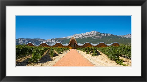 Framed Bodegas Ysios winery building and vineyard, La Rioja, Spain Print