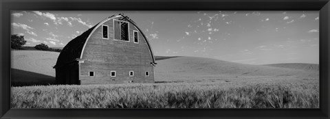 Framed Black and White view of Old barn in a wheat field, Washington State Print