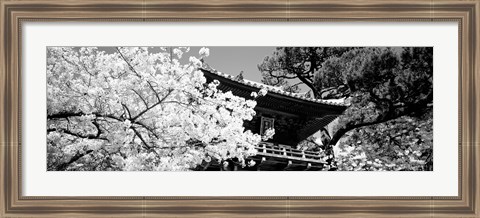 Framed Golden Gate Park, Japanese Tea Garden (black &amp; white) Print