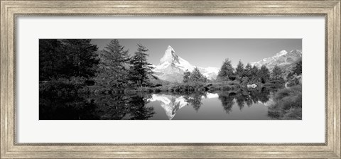 Framed Reflection of trees and mountain in a lake, Matterhorn, Switzerland (black and white) Print