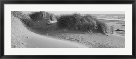 Framed Grass on the beach, Pacific Ocean, Bandon State Natural Area, Bandon, Oregon, USA Print